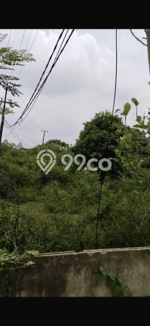 Tanah Siap Pakai Disewakan di Cisauk, Tangerang, Luas 9900m2 Tanah Siap Pakai Disewakan di Cisauk, Tangerang, Luas 9900m2