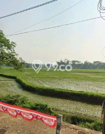 Tanah di Jonggol, Luas 5000m2m², Status SHM, Dekat Jonggol, Bogor, Bogor Tanah di Jonggol, Luas 5000m2m², Status SHM, Dekat Jonggol, Bogor, Bogor