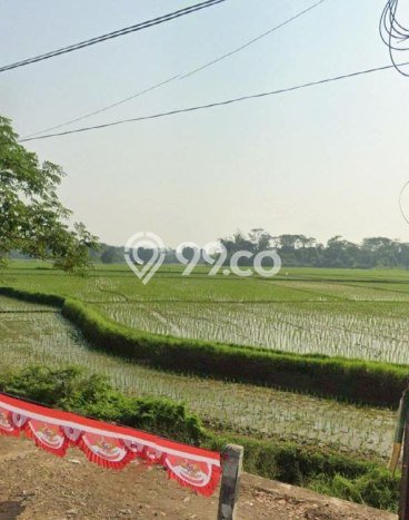 Tanah di Jonggol, Luas 5000m2m², Status SHM, Dekat Jonggol, Bogor, Bogor Tanah di Jonggol, Luas 5000m2m², Status SHM, Dekat Jonggol, Bogor, Bogor