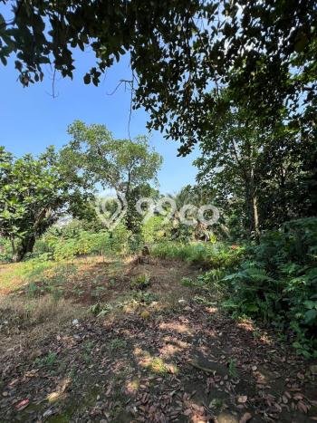Tanah Dijual di Bogor Seluas 877m2 Strategis Tanah Dijual di Bogor Seluas 877m2 Strategis