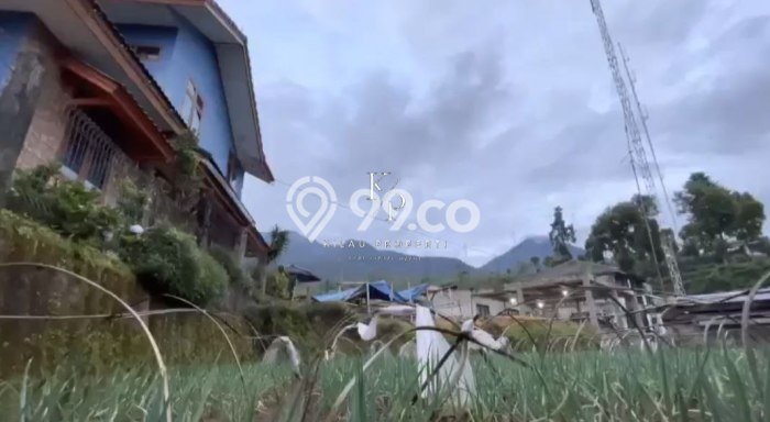 For Sale! Premium House LT 3300m2 Desain Elegan di Cipanas For Sale! Premium House LT 3300m2 Desain Elegan di Cipanas