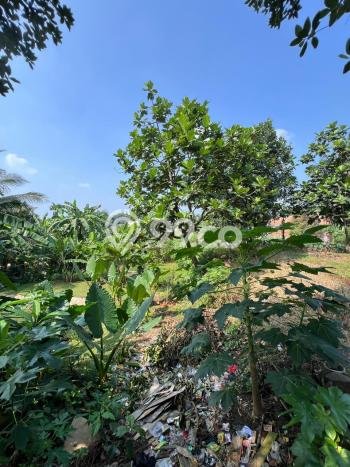 Tanah Dijual di Bogor Seluas 877m2 Strategis Tanah Dijual di Bogor Seluas 877m2 Strategis