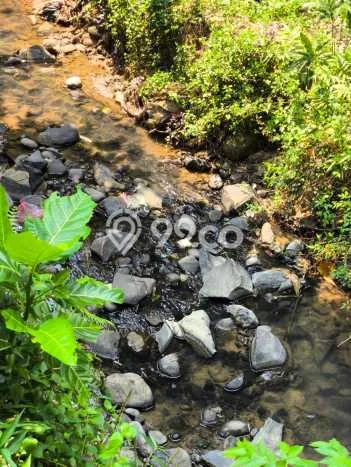 Tanah Kavling Dijual di Sentul City, Bogor dengan Luas Tanah 84m2 Tanah Kavling Dijual di Sentul City, Bogor dengan Luas Tanah 84m2