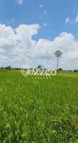 Lahan untuk Dijual di Menganti Gresik Luas 19014m2 Lahan untuk Dijual di Menganti Gresik Luas 19014m2