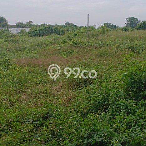 Jarang Ada! Tanah di Gedangan Punya Luas 2676m2 SHM Jarang Ada! Tanah di Gedangan Punya Luas 2676m2 SHM