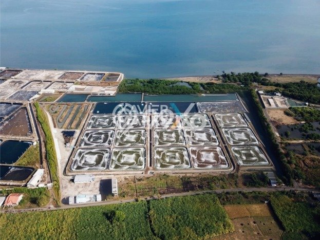 Tanah di Situbondo, Situbondo Luas 98000m2 Dijual Segera Tanah di Situbondo, Situbondo Luas 98000m2 Dijual Segera