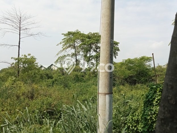 Tanah Dijual di Cirebon Seluas 2000m2 Strategis Tanah Dijual di Cirebon Seluas 2000m2 Strategis