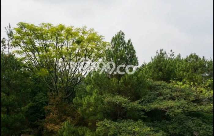 Lahan untuk Dijual Lokasi Coblong, Bandung Luas 328m2 SHM Lahan untuk Dijual Lokasi Coblong, Bandung Luas 328m2 SHM