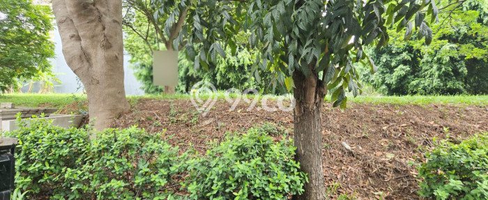 Tanah Kavling untuk Dijual di Kelapa Gading Jakarta Utara 600m2 Tanah Kavling untuk Dijual di Kelapa Gading Jakarta Utara 600m2