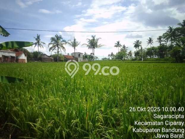 Tanah Kavling untuk Dijual di Ciparay Bandung 2420m2 Tanah Kavling untuk Dijual di Ciparay Bandung 2420m2