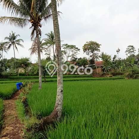 Tanah Kavling untuk Dijual di Ciparay Bandung 2420m2 Tanah Kavling untuk Dijual di Ciparay Bandung 2420m2