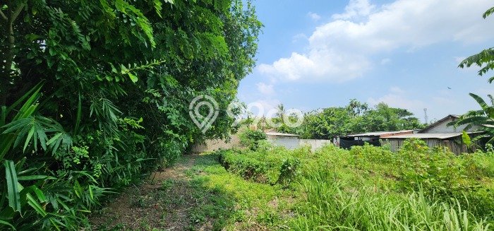 Tanah Dijual Lokasi Cibitung, Bekasi Luas 2900m2 Legalitas Aman Tanah Dijual Lokasi Cibitung, Bekasi Luas 2900m2 Legalitas Aman