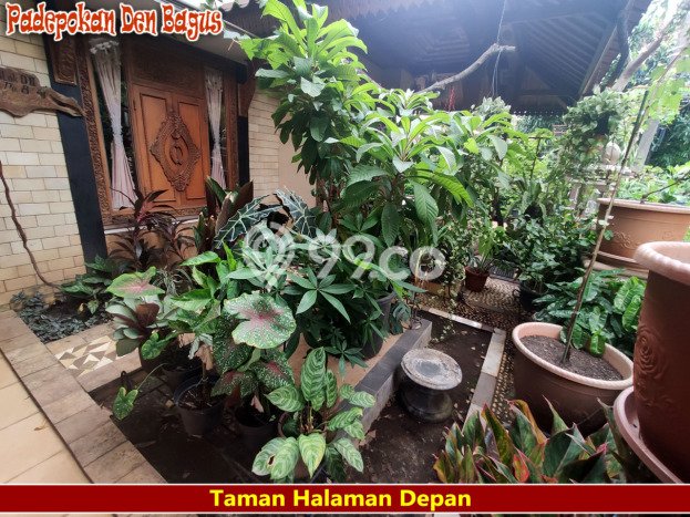 Jual Rumah Luas Elegan Dengan View Cantik di Bintaro, Jakarta Selatan Jual Rumah Luas Elegan Dengan View Cantik di Bintaro, Jakarta Selatan