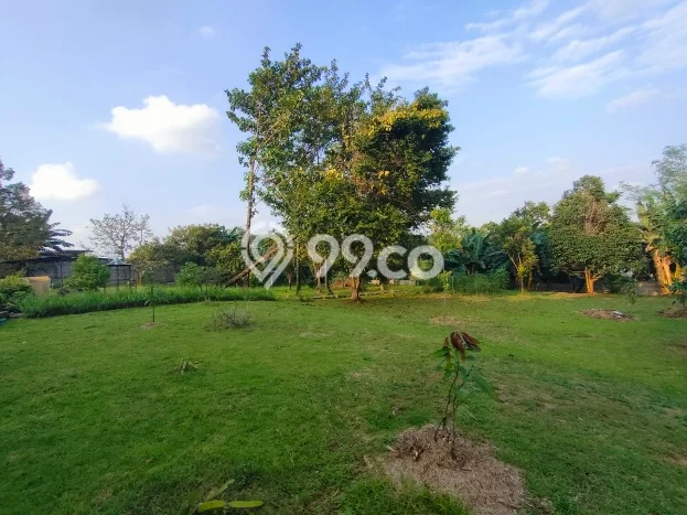 Jarang Ada! Tanah di Ciputat Punya Luas 6260m2 SHM Jarang Ada! Tanah di Ciputat Punya Luas 6260m2 SHM