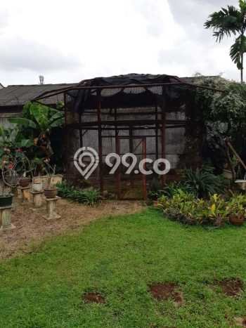 Jual Rumah Mewah Elegan Dengan View Cantik di Pejaten, Jakarta Selatan Jual Rumah Mewah Elegan Dengan View Cantik di Pejaten, Jakarta Selatan