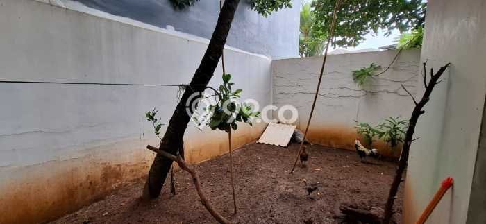 Rumah Elit Modern Tanpa Renovasi di Kota Wisata Bogor Rumah Elit Modern Tanpa Renovasi di Kota Wisata Bogor