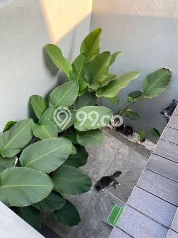 Rumah Minimalis 3 Kamar LT 119m2 di Kota Wisata Rumah Minimalis 3 Kamar LT 119m2 di Kota Wisata
