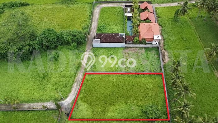 LOKASI STRATEGIS! Tanah Kawasan Ubud, Luas 1000m², Area Nyaman, Cocok untuk Investasi LOKASI STRATEGIS! Tanah Kawasan Ubud, Luas 1000m², Area Nyaman, Cocok untuk Investasi