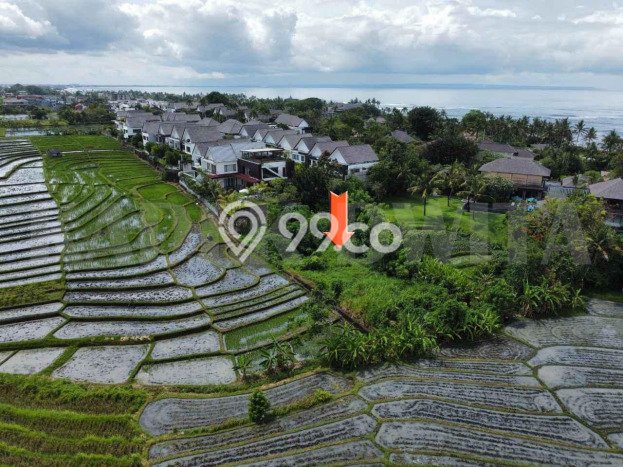 Tanah di Cemagi, Luas 956m², Akses Cemagi, Badung, Badung Tanah di Cemagi, Luas 956m², Akses Cemagi, Badung, Badung