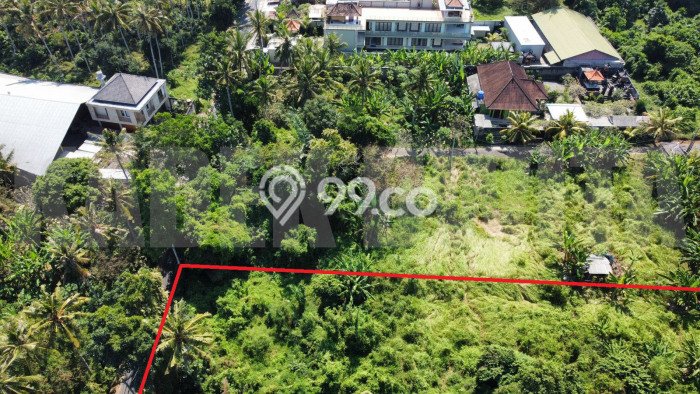 Tanah Kavling Dijual di Gianyar dengan Spesifikasi 2600m2 Tanah Kavling Dijual di Gianyar dengan Spesifikasi 2600m2