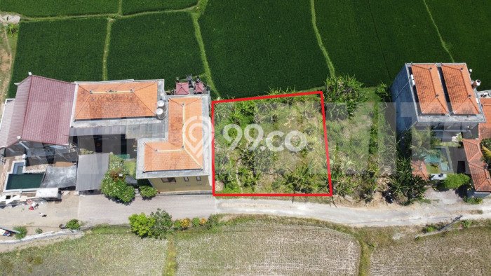 Kavling Tanah Dijual di Ubud Gianyar Spesifikasi 300m2 Kavling Tanah Dijual di Ubud Gianyar Spesifikasi 300m2