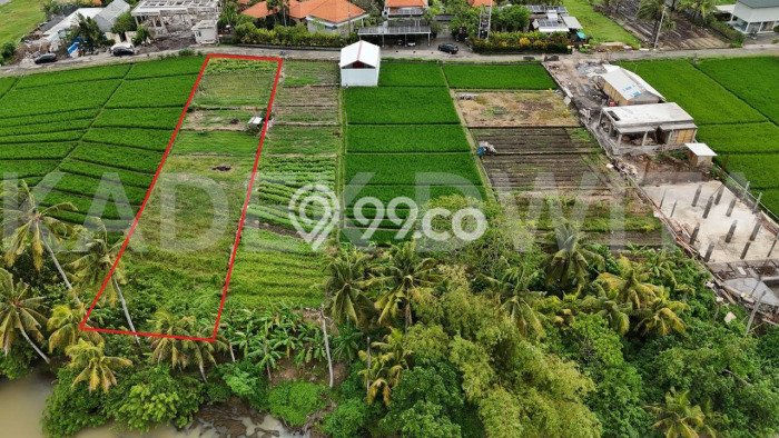 Tanah Kosong Dijual di Tabanan dengan Area 1470m2 Tanah Kosong Dijual di Tabanan dengan Area 1470m2