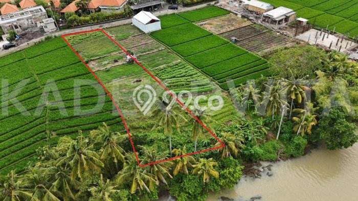 Tanah Kosong Dijual di Tabanan dengan Area 1470m2 Tanah Kosong Dijual di Tabanan dengan Area 1470m2