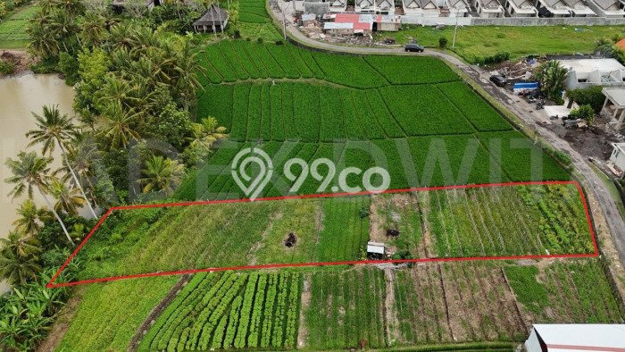 Tanah Kosong Dijual di Tabanan dengan Area 1470m2 Tanah Kosong Dijual di Tabanan dengan Area 1470m2