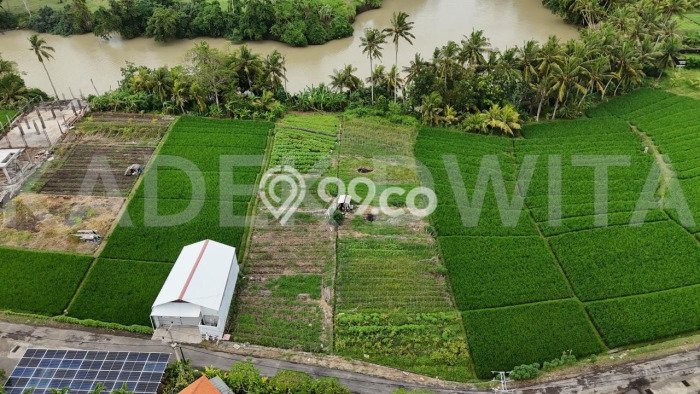 Tanah Kosong Dijual di Tabanan dengan Area 1470m2 Tanah Kosong Dijual di Tabanan dengan Area 1470m2