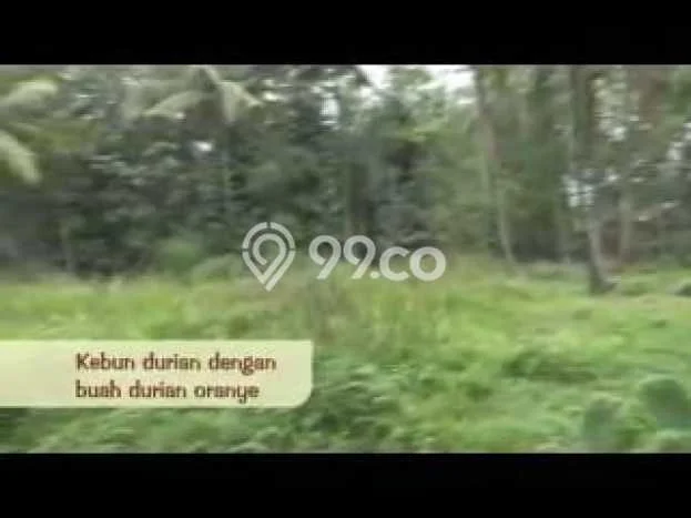 Lahan untuk Dijual Lokasi Carita, Pandeglang Luas 22433m2 SHM Lahan untuk Dijual Lokasi Carita, Pandeglang Luas 22433m2 SHM