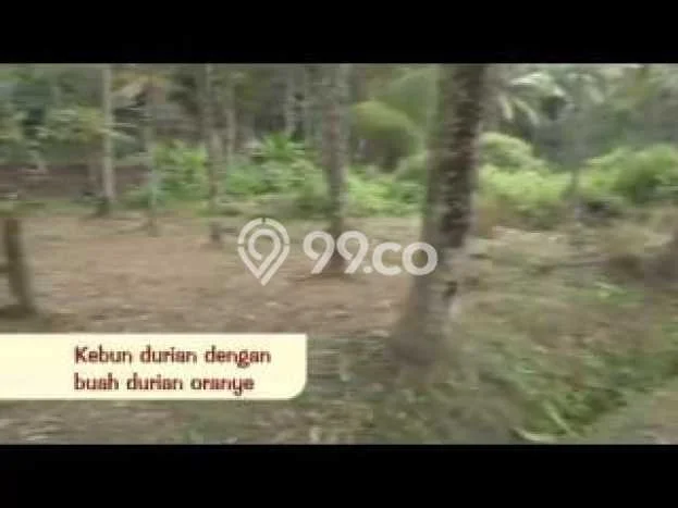 Lahan untuk Dijual Lokasi Carita, Pandeglang Luas 22433m2 SHM Lahan untuk Dijual Lokasi Carita, Pandeglang Luas 22433m2 SHM