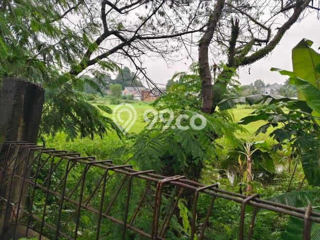 Kavling Tanah Dijual di Serpong Tangerang Selatan Spesifikasi 17000m2 Kavling Tanah Dijual di Serpong Tangerang Selatan Spesifikasi 17000m2