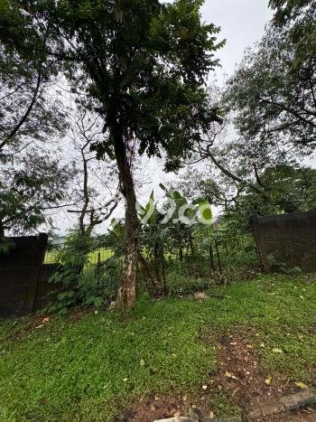 Kavling Tanah Dijual di Serpong Tangerang Selatan Spesifikasi 17000m2 Kavling Tanah Dijual di Serpong Tangerang Selatan Spesifikasi 17000m2
