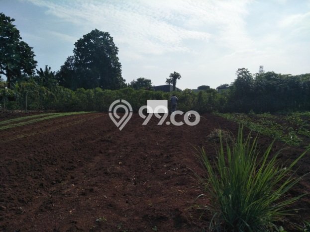 Tanah Dijual di Depok Seluas 1993m2 Strategis Tanah Dijual di Depok Seluas 1993m2 Strategis