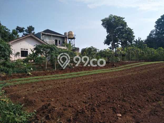 Tanah Dijual di Depok Seluas 1993m2 Strategis Tanah Dijual di Depok Seluas 1993m2 Strategis
