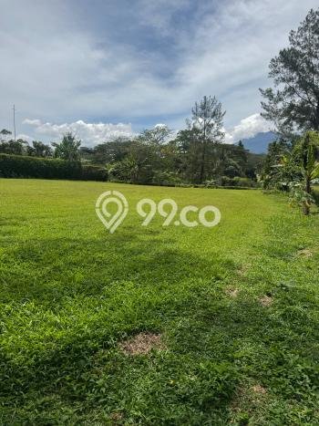 Dijual Tanah di Bogor, Luas 2020m2 - Dijual Tanah di Bogor, Luas 2020m2 -