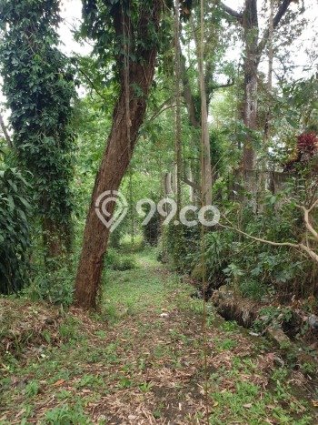 Untuk Dijual Tanah 15000m2 di Bojong Kerta, Bogor Untuk Dijual Tanah 15000m2 di Bojong Kerta, Bogor