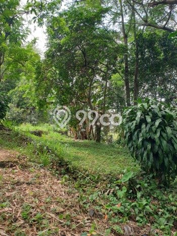 Untuk Dijual Tanah 15000m2 di Bojong Kerta, Bogor Untuk Dijual Tanah 15000m2 di Bojong Kerta, Bogor