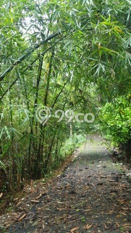 Untuk Dijual Tanah 15000m2 di Bojong Kerta, Bogor Untuk Dijual Tanah 15000m2 di Bojong Kerta, Bogor