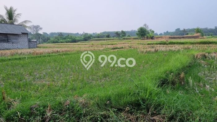 Tanah Investasi Dijual di Gianyar Punya Luas 1875m2 Tanah Investasi Dijual di Gianyar Punya Luas 1875m2