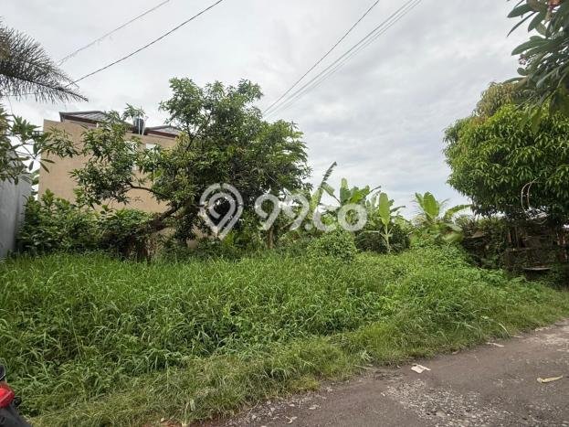Tanah Dijual Area Strategis di Munggu Badung 200m2 Tanah Dijual Area Strategis di Munggu Badung 200m2