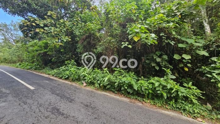 Tanah Dijual Area Strategis di Beraban Tabanan 2000m2 Tanah Dijual Area Strategis di Beraban Tabanan 2000m2