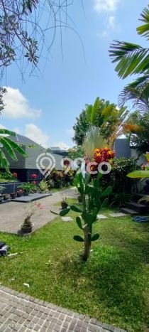 Rumah Luxury Modern Tanpa Renovasi di Pererenan Badung Rumah Luxury Modern Tanpa Renovasi di Pererenan Badung