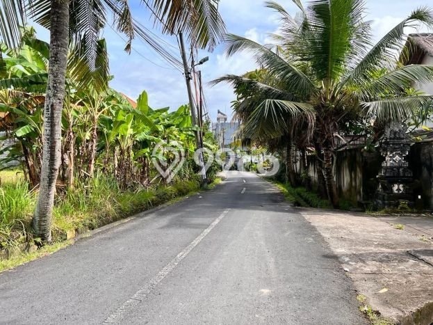 Kavling Tanah untuk Dijual di canggu, Badung, Luas 1725m2 Kavling Tanah untuk Dijual di canggu, Badung, Luas 1725m2