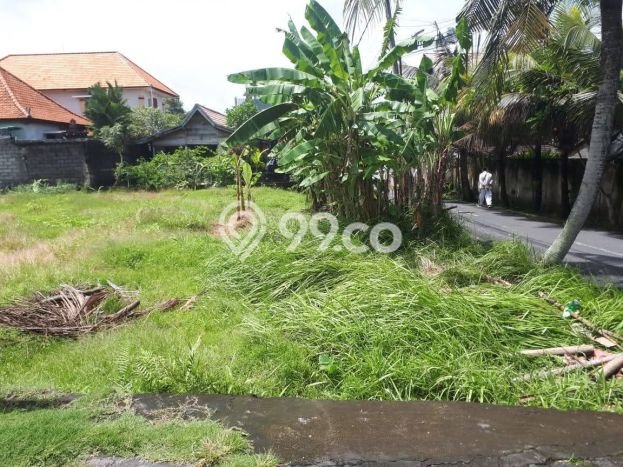 Kavling Tanah untuk Dijual di canggu, Badung, Luas 1725m2 Kavling Tanah untuk Dijual di canggu, Badung, Luas 1725m2