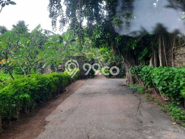 Dijual Tanah 1000m2 di Sanur, Denpasar Dijual Tanah 1000m2 di Sanur, Denpasar