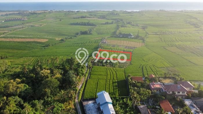 Kavling Tanah untuk Dijual di Tibubiyu, Tabanan, Luas 1700m2 Kavling Tanah untuk Dijual di Tibubiyu, Tabanan, Luas 1700m2