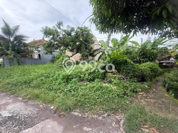 Tanah Dijual Area Strategis di Munggu Badung 200m2 Tanah Dijual Area Strategis di Munggu Badung 200m2