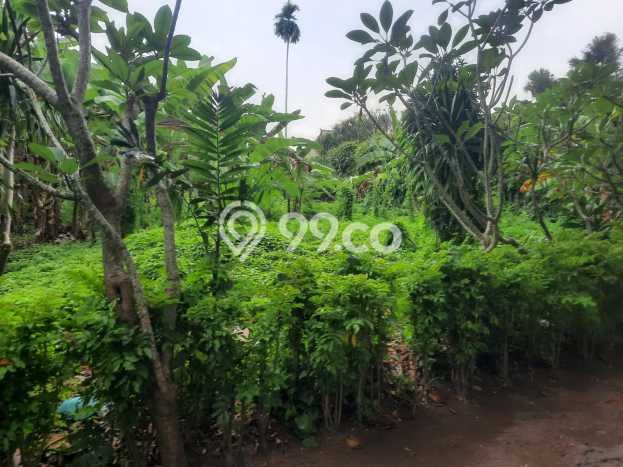 Dijual Tanah 1000m2 di Sanur, Denpasar Dijual Tanah 1000m2 di Sanur, Denpasar