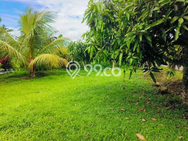 Kavling Tanah di Selemadeg Dijual Luas 3600m2 Legalitas SHM Kavling Tanah di Selemadeg Dijual Luas 3600m2 Legalitas SHM